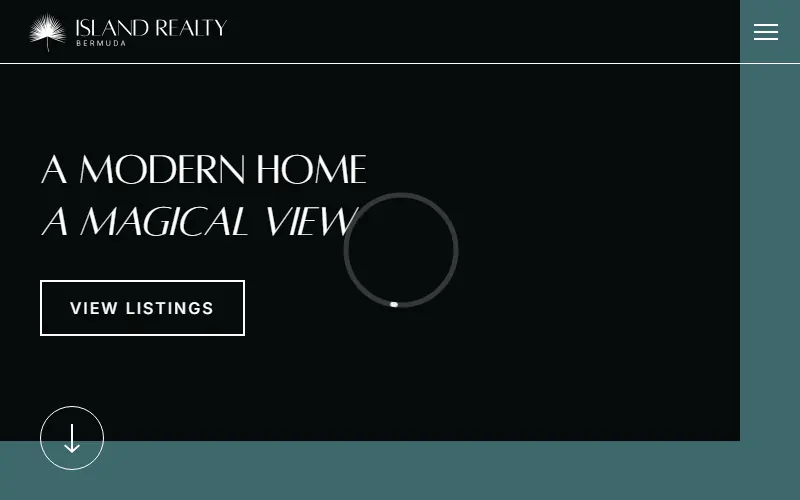 Превью Island Realty Bermuda
