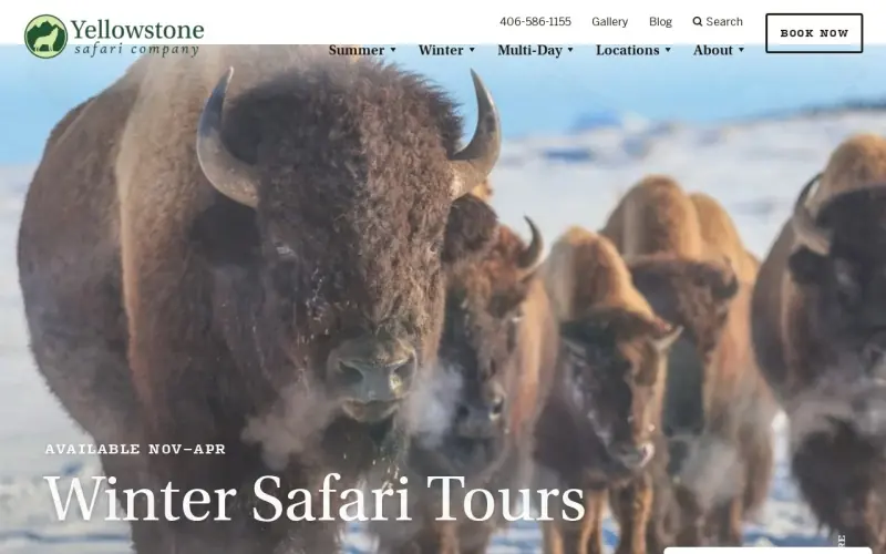 Превью Yellowstone Safari